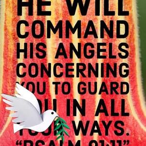 Meet your Posher, Divastylez